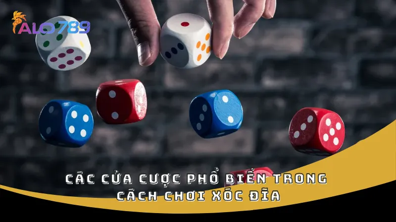 Các cửa cược phổ biến trong cách chơi xóc đĩa