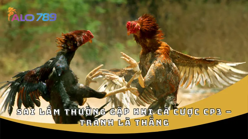 Sai lầm thường gặp khi cá cược CP3 – Tránh là thắng